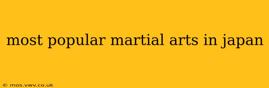 most popular martial arts in japan