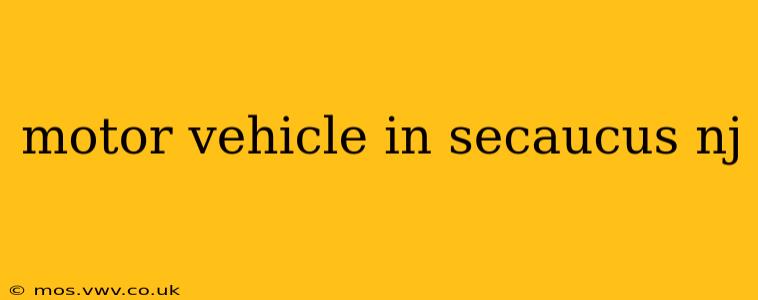 motor vehicle in secaucus nj
