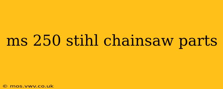 ms 250 stihl chainsaw parts