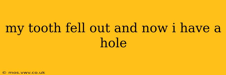 my tooth fell out and now i have a hole