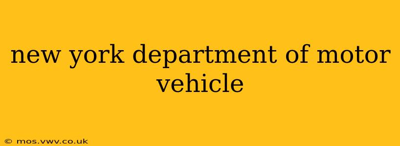 new york department of motor vehicle