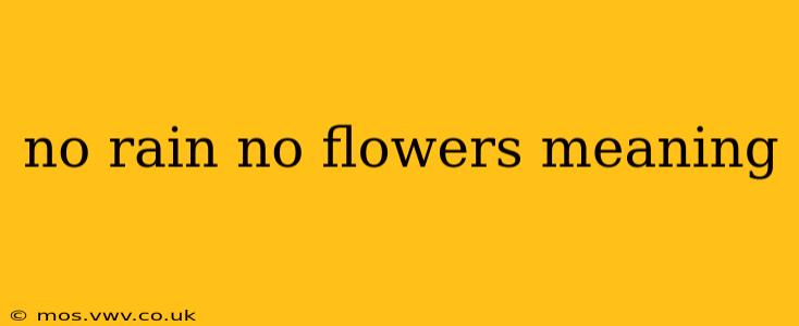 no rain no flowers meaning