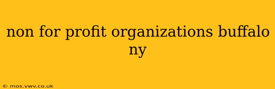 non for profit organizations buffalo ny