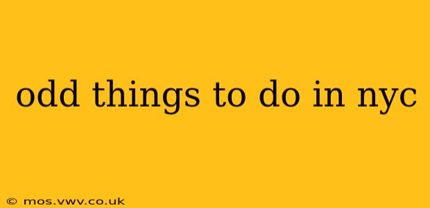 odd things to do in nyc
