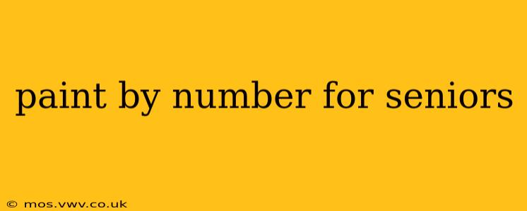 paint by number for seniors