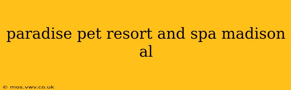 paradise pet resort and spa madison al