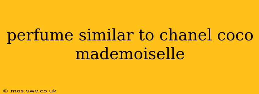 perfume similar to chanel coco mademoiselle