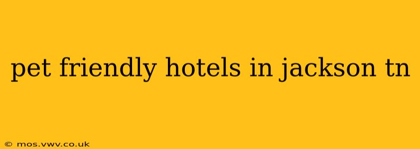 pet friendly hotels in jackson tn
