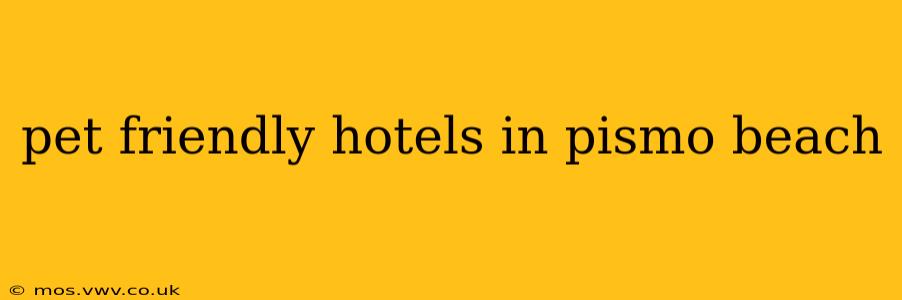 pet friendly hotels in pismo beach