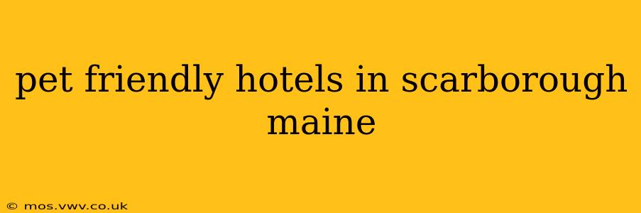pet friendly hotels in scarborough maine
