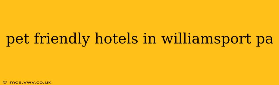 pet friendly hotels in williamsport pa