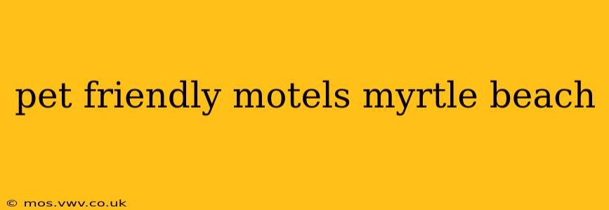 pet friendly motels myrtle beach