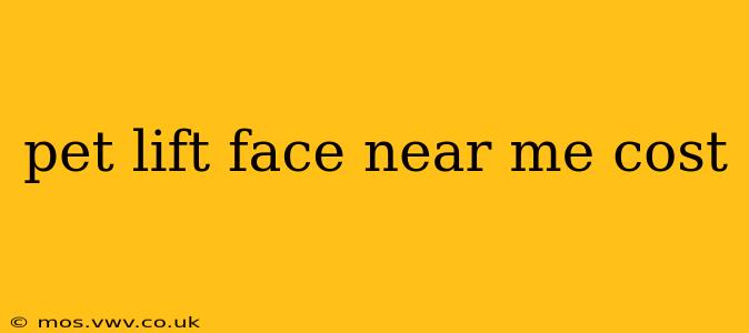 pet lift face near me cost