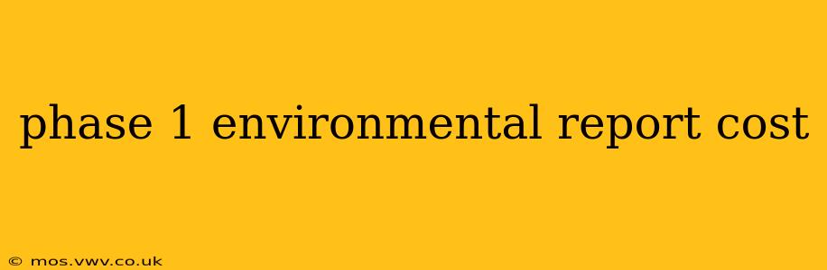 phase 1 environmental report cost