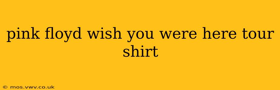pink floyd wish you were here tour shirt