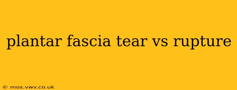 plantar fascia tear vs rupture