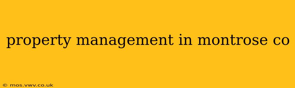 property management in montrose co