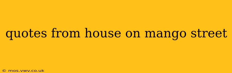 quotes from house on mango street