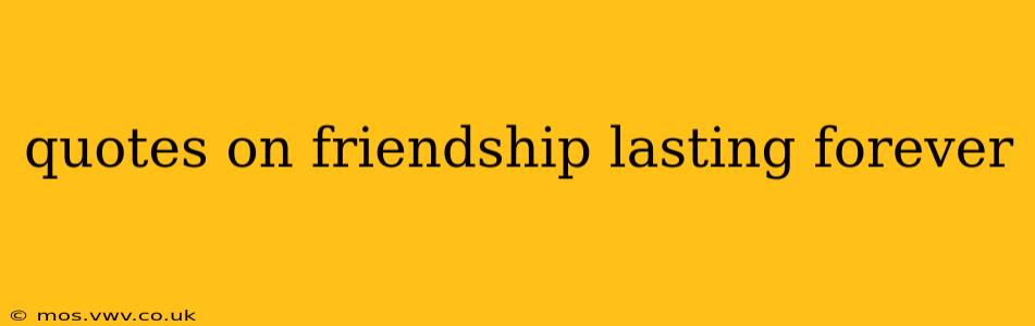 quotes on friendship lasting forever
