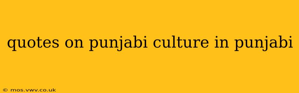 quotes on punjabi culture in punjabi