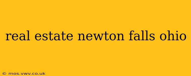 real estate newton falls ohio