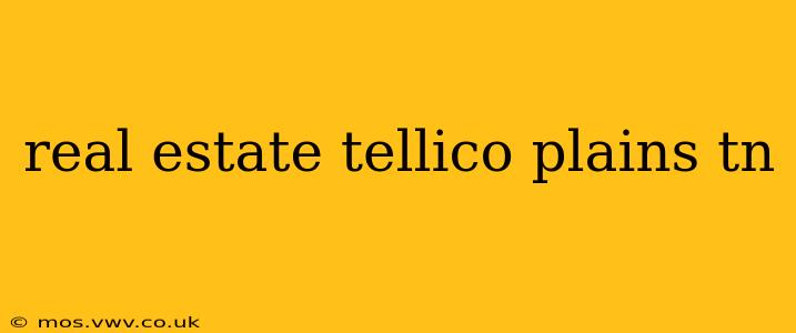 real estate tellico plains tn