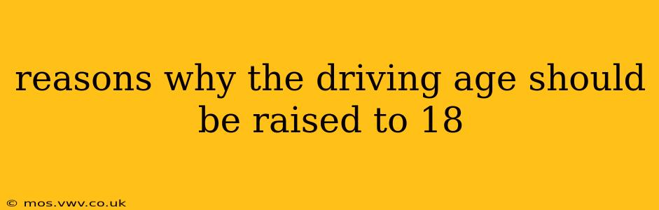 reasons why the driving age should be raised to 18