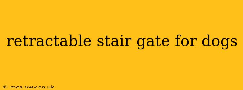 retractable stair gate for dogs