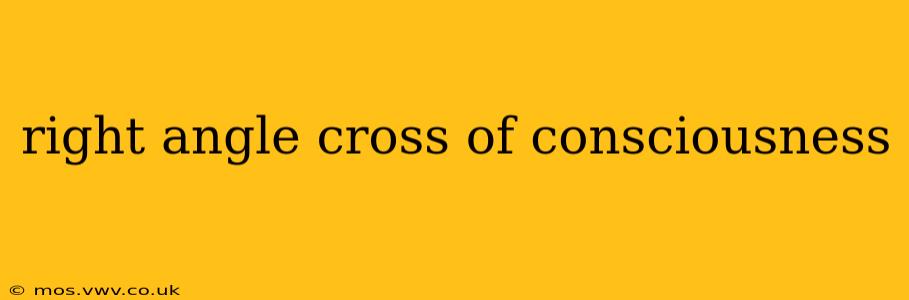 right angle cross of consciousness