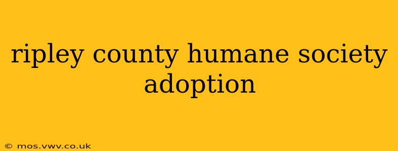 ripley county humane society adoption