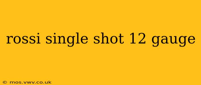 rossi single shot 12 gauge