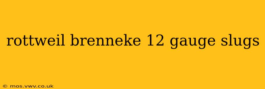 rottweil brenneke 12 gauge slugs