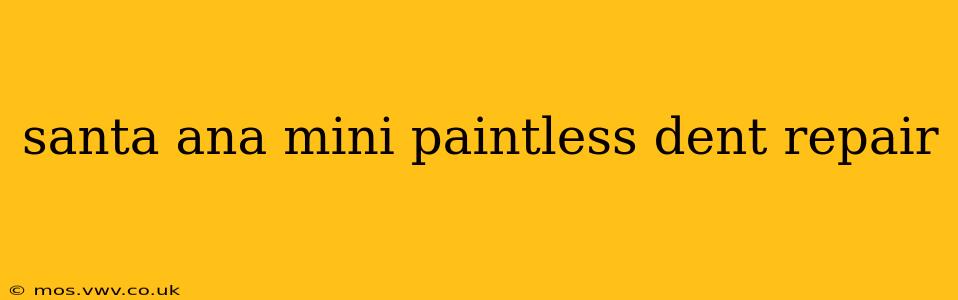 santa ana mini paintless dent repair