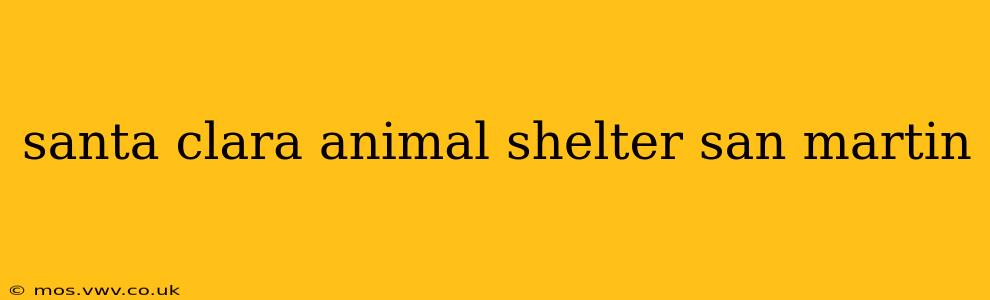 santa clara animal shelter san martin