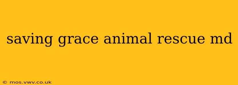 saving grace animal rescue md