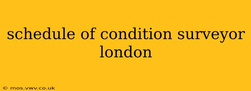 schedule of condition surveyor london
