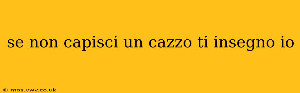 se non capisci un cazzo ti insegno io se non capisci un cazzo ti insegno io