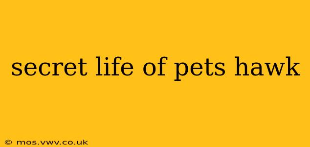 secret life of pets hawk