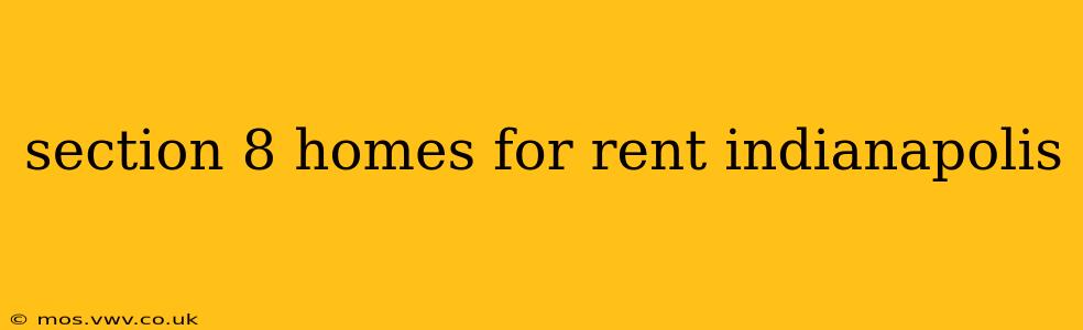 section 8 homes for rent indianapolis