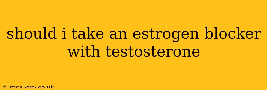 should i take an estrogen blocker with testosterone