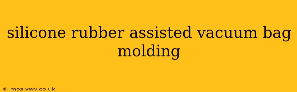 silicone rubber assisted vacuum bag molding
