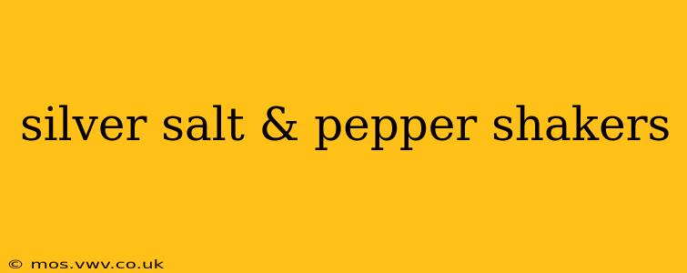 silver salt & pepper shakers