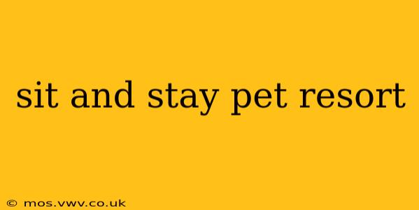 sit and stay pet resort