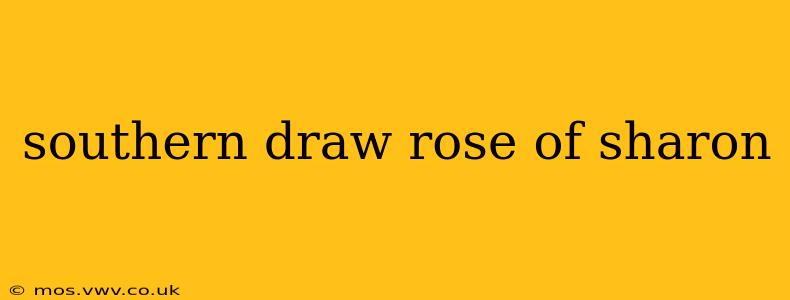 southern draw rose of sharon