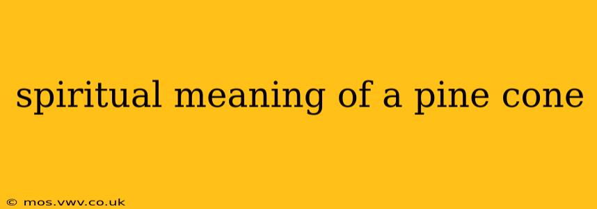 spiritual meaning of a pine cone