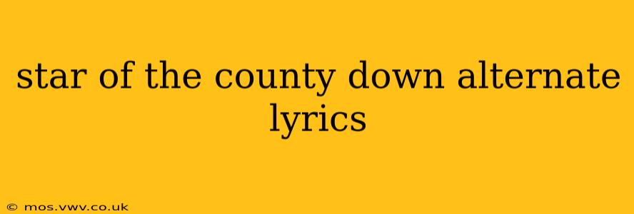 star of the county down alternate lyrics