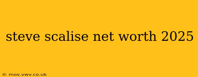 steve scalise net worth 2025