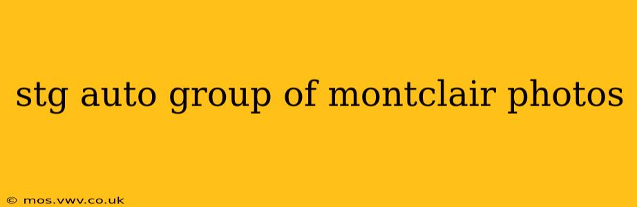 stg auto group of montclair photos