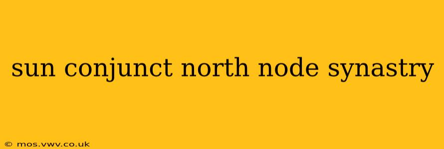 sun conjunct north node synastry