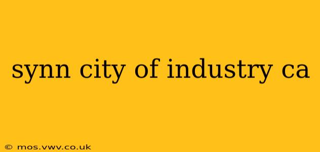 synn city of industry ca